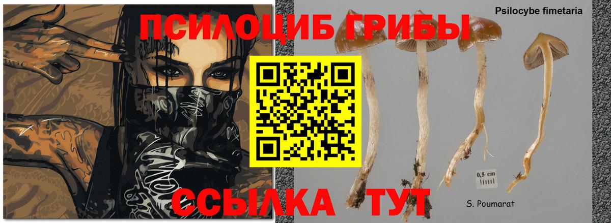 Новороссийск  Галлюциногенные грибы мицелий  Галлюциногенные грибы MAGIC MUSHROOMS  Вход с VPN 